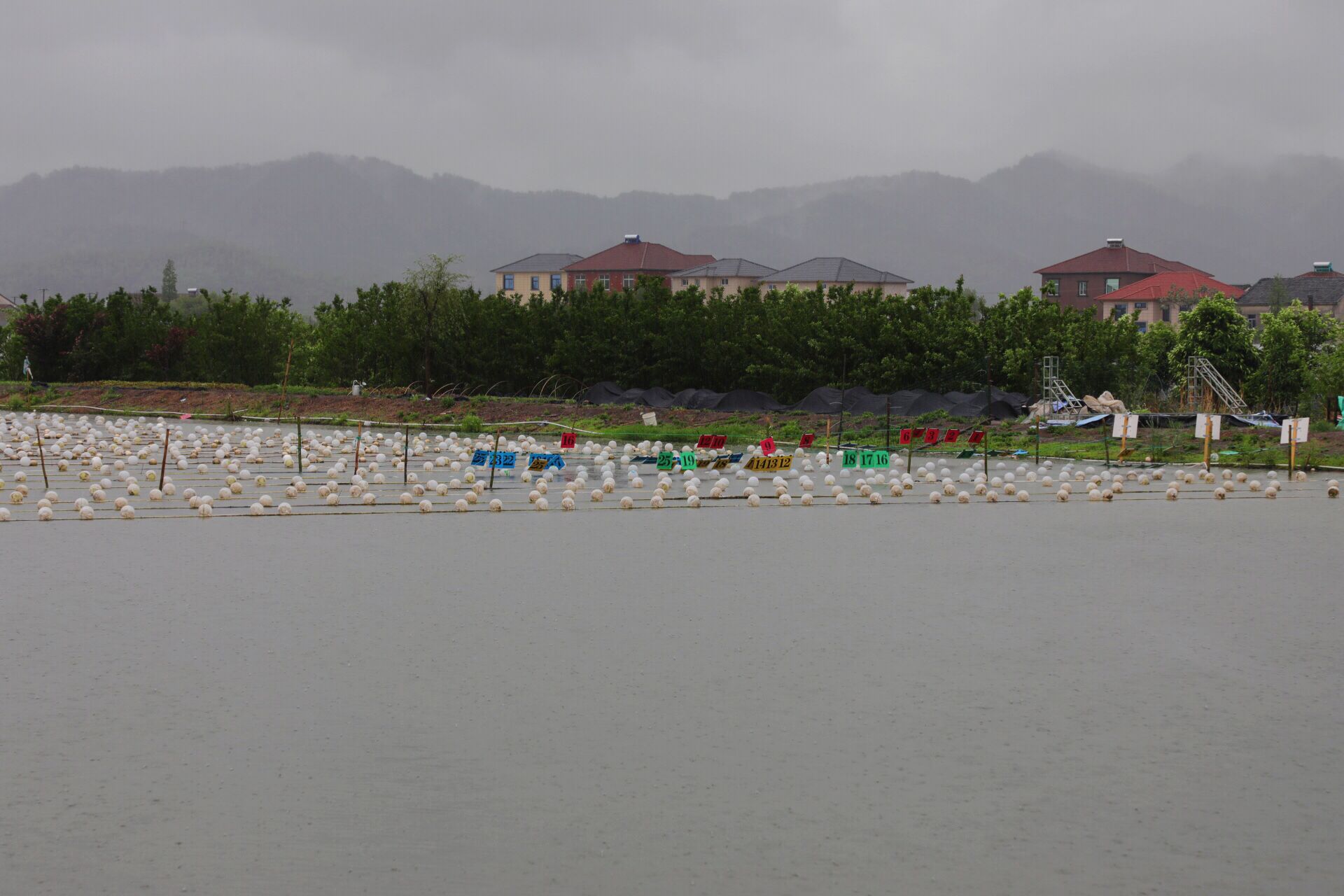 W020180425614242017529.jpg W020180425614242017529.jpg